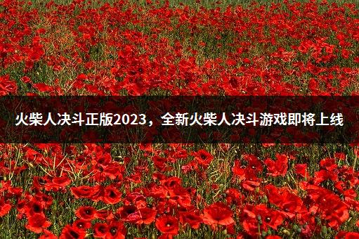 火柴人决斗正版2023，全新火柴人决斗游戏即将上线-1