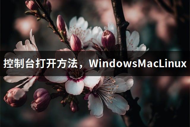 控制台打开方法，WindowsMacLinux-1