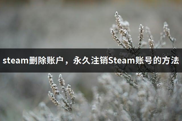 steam删除账户，永久注销Steam账号的方法-1